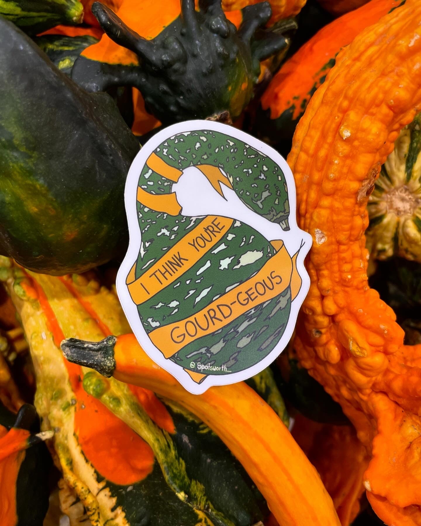 I Think You're GOURD-Geous | 5 ct.